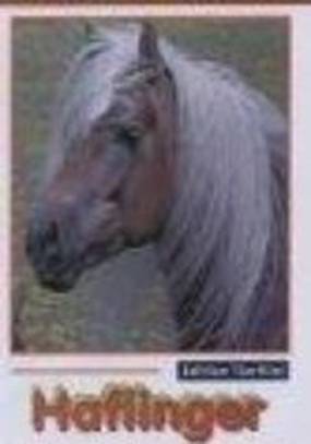 Junges Herz voll Liebe