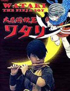 Ватари – мальчишка ниндзя