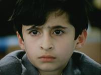 Кадр Внимание, черепаха!