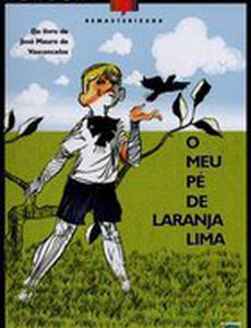 Мое любимое апельсиновое дерево