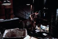 Кадр Очевидец