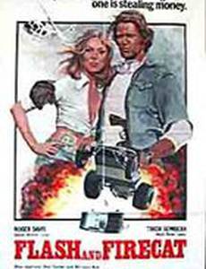 Flash and the Firecat