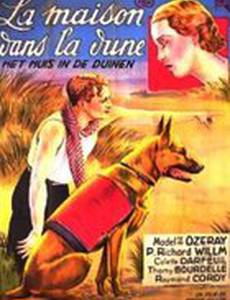 Дом в дюнах