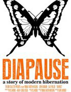 Diapause