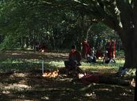 Кадр Мерлин