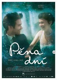 Постер Пена дней