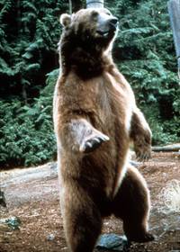 Кадр Верное сердце