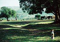 Кадр По ту сторону дороги