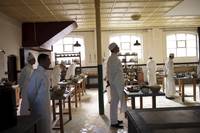 Кадр Аббатство Даунтон