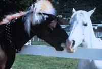 Кадр Удачное наследство