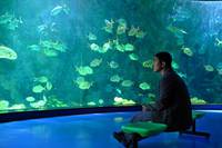 Кадр Рай океана