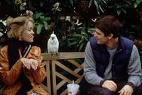 Кадр Без ума от любви