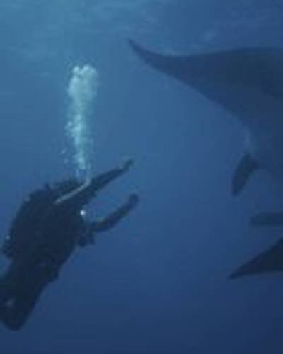 Дэвид С. Уорнер фото