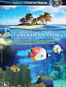 Багамские острова 3D: Таинственные пещеры и затонувшие корабли