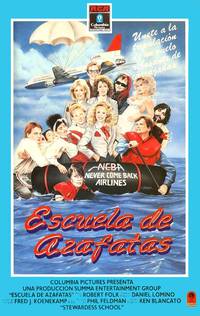 Постер Школа стюардесс