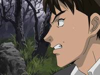 Кадр 12 королевств