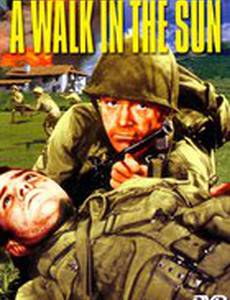 Прогулка под солнцем