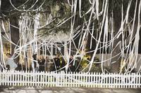 Кадр Город хищниц