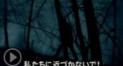 Международный трейлер