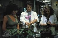 Кадр Болотная тварь