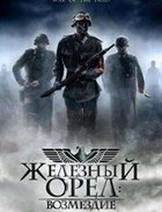 Железный орел: Возмездие (видео)