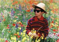 Кадр Цвет рая