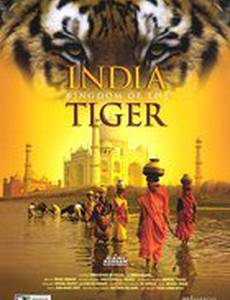India: Kingdom of the Tiger