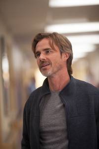 Кадр Виноваты звезды