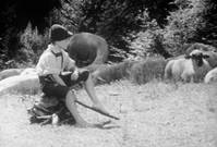 Кадр Als ich noch der Waldbauernbub war...