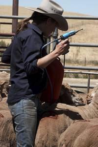 Кадр Дочери Маклеода