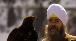 Кадр из фильма "Кокаин в перьях" - 1