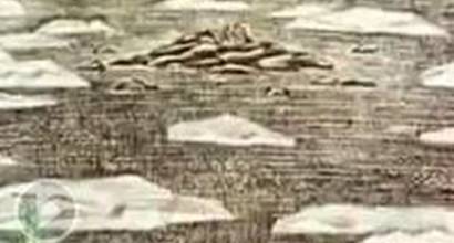 Мультфильм 