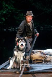 Кадр Белый клык 2: Легенда о белом волке