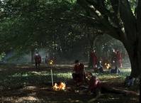 Кадр Мерлин