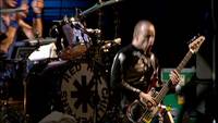 Кадр Red Hot Chili Peppers: Live at Slane Castle (видео)