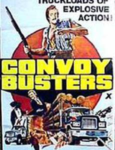 Полицейский гонщик