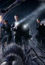 Марк Вейкинг фото