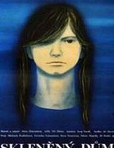 Стеклянный дом