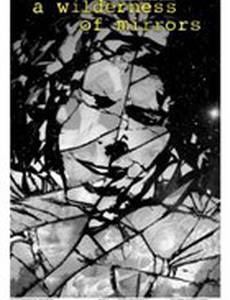 A Wilderness of Mirrors