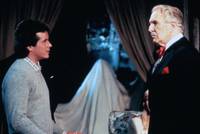 Кадр Дом длинных теней