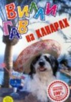 Вилли Гав на Канарах