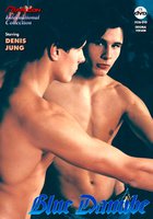 Голубой Дунай (видео)