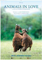 Влюбленные животные