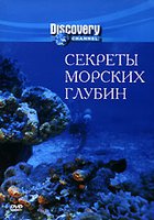 Секреты морских глубин