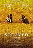 Заблудившиеся