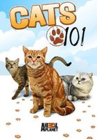 Энциклопедия кошек