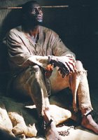 Nat Turner: A Troublesome Property