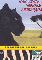 Animal Planet: Как стать...