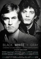 Black White + Gray: A Portrait of Sam Wagstaff and Robert Mapplethorpe