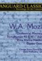 Белая власть